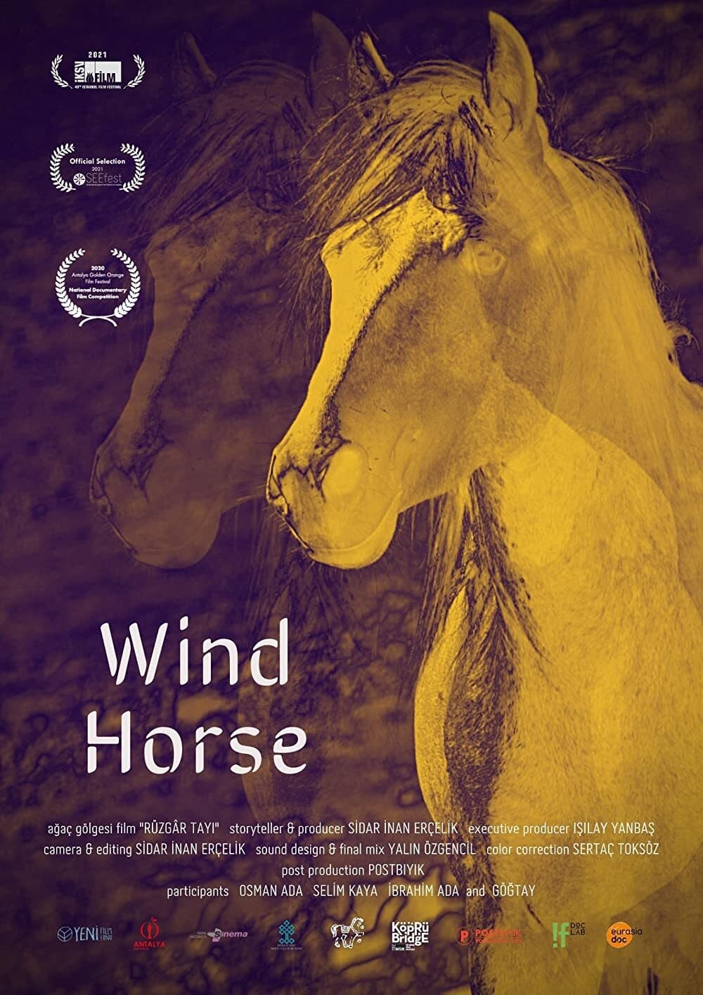 Wind Horse