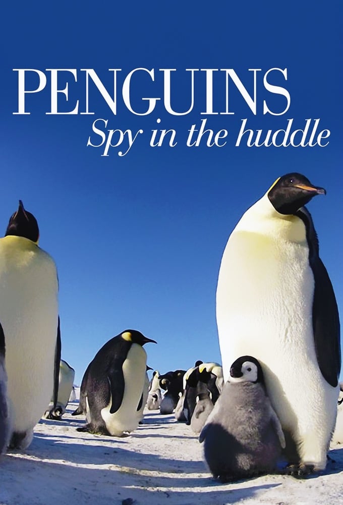 Penguins: Spy in the Huddle