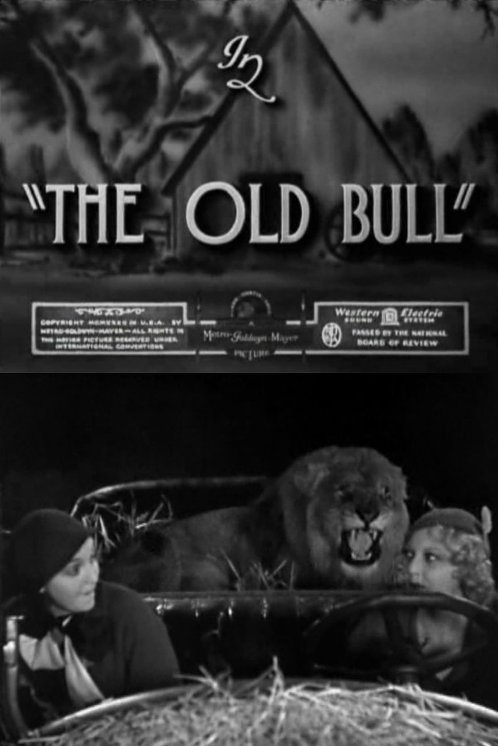 The Old Bull (1932)