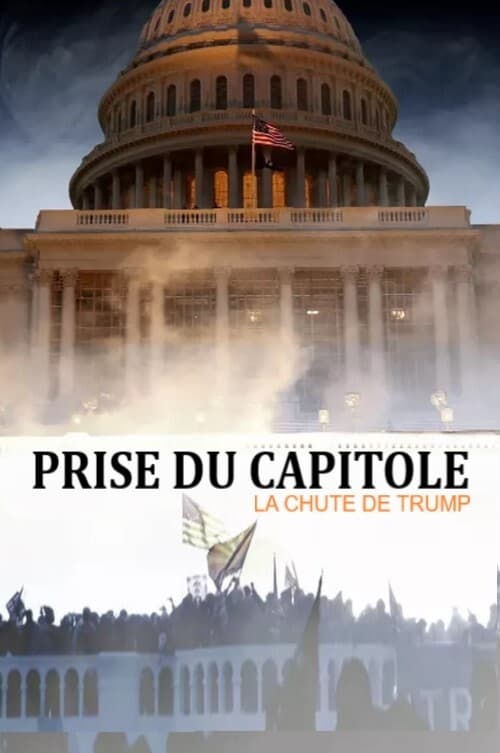 Prise du Capitole - la chute de Trump