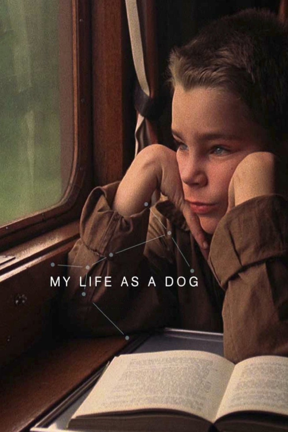 Mein Leben als Hund