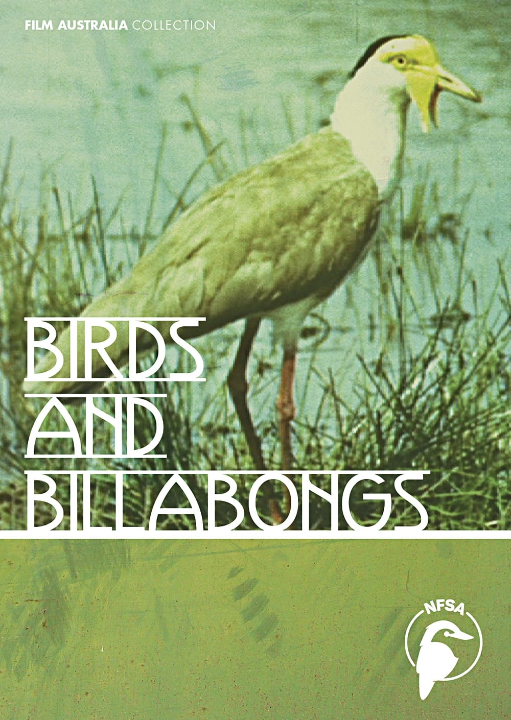 Birds and Billabongs