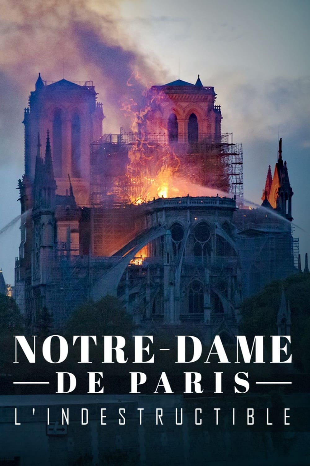 Notre-Dame de Paris, l'indestructible