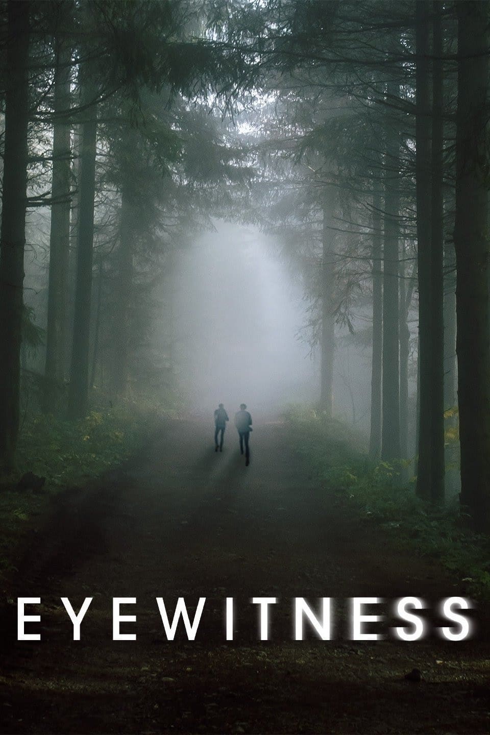 Eyewitness (2016)