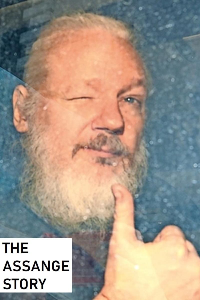 The Assange Story