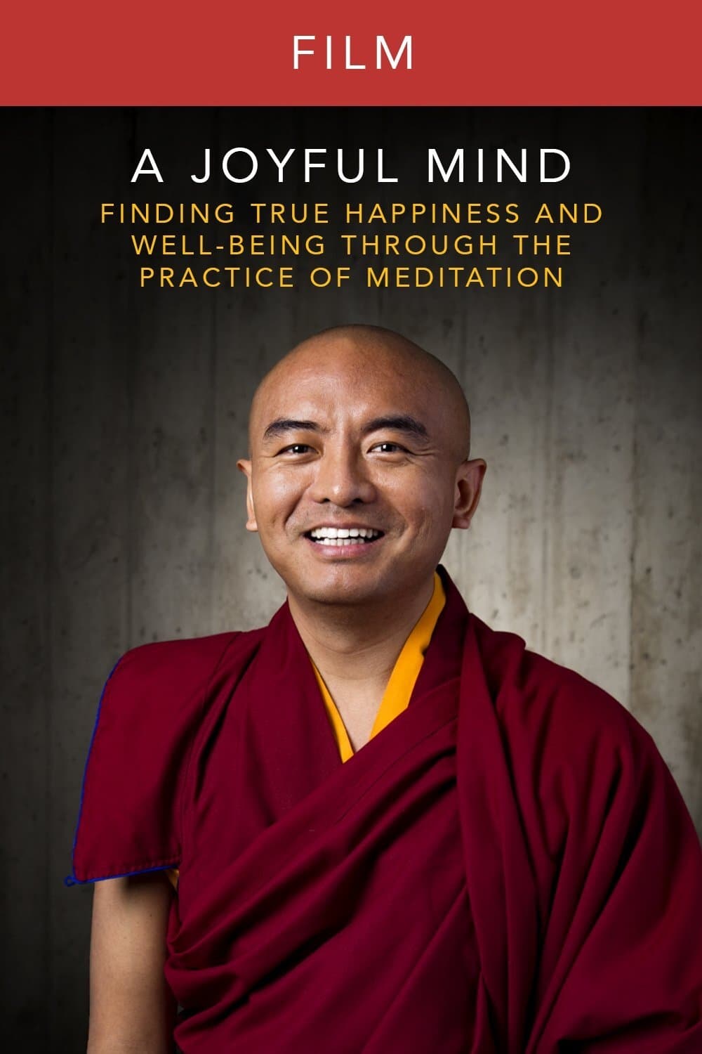 A Joyful Mind - Finding true happiness through the practice of meditation