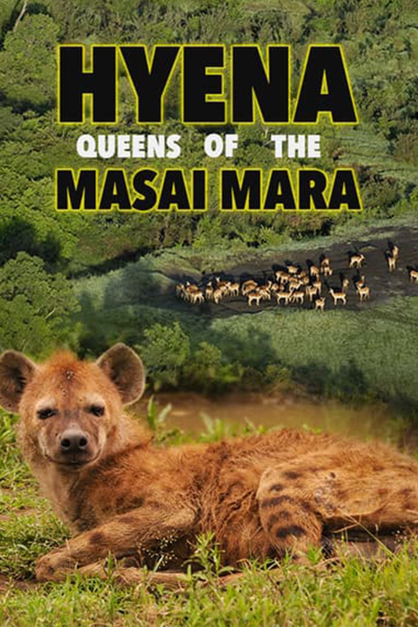 Hyena: Queen of the Masai Mara