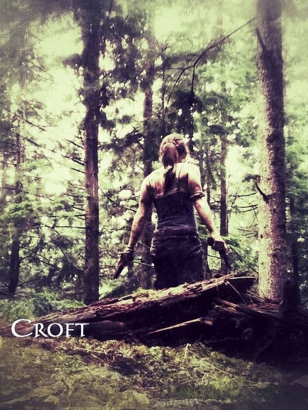 Croft (2013)
