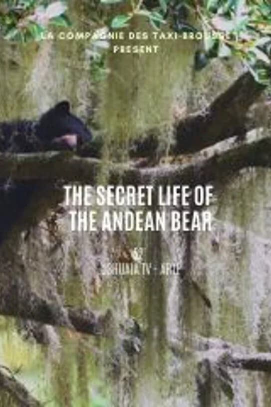 La vie secrète de l’ours à lunettes