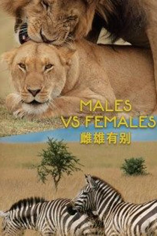 Males VS Females