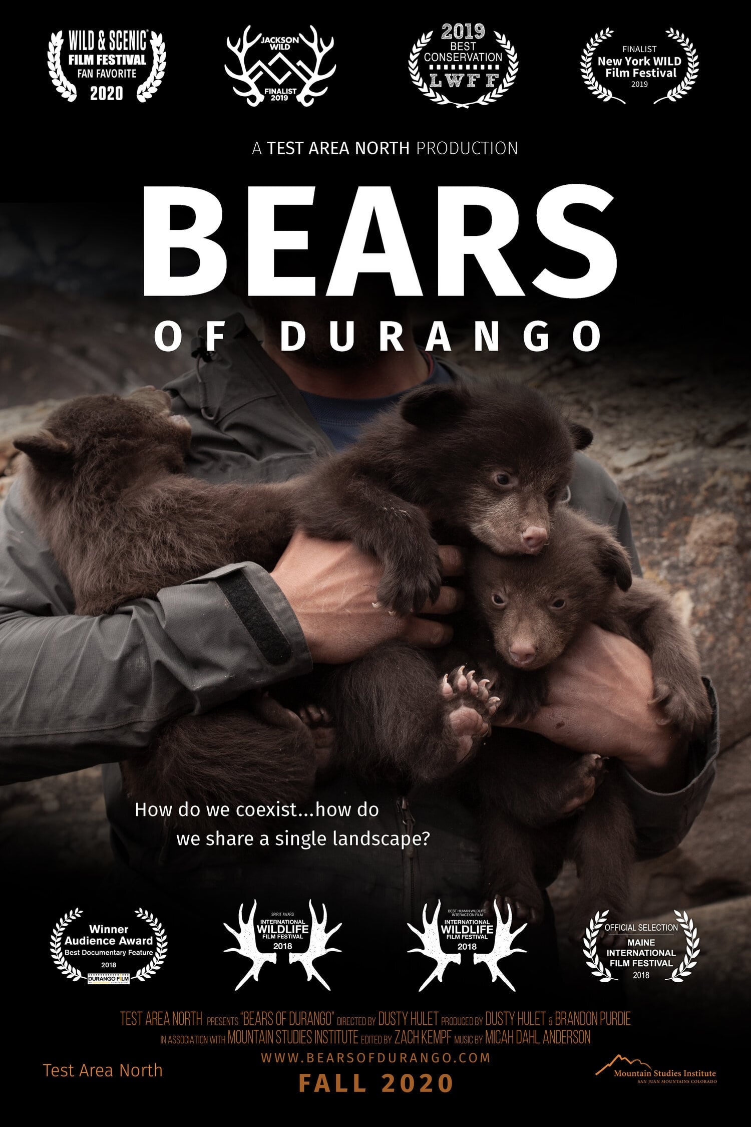Bears of Durango