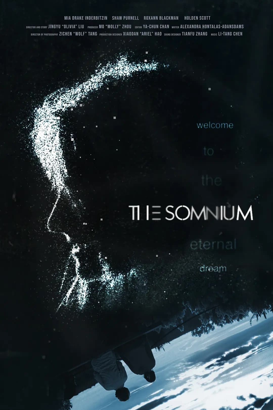 The Somnium