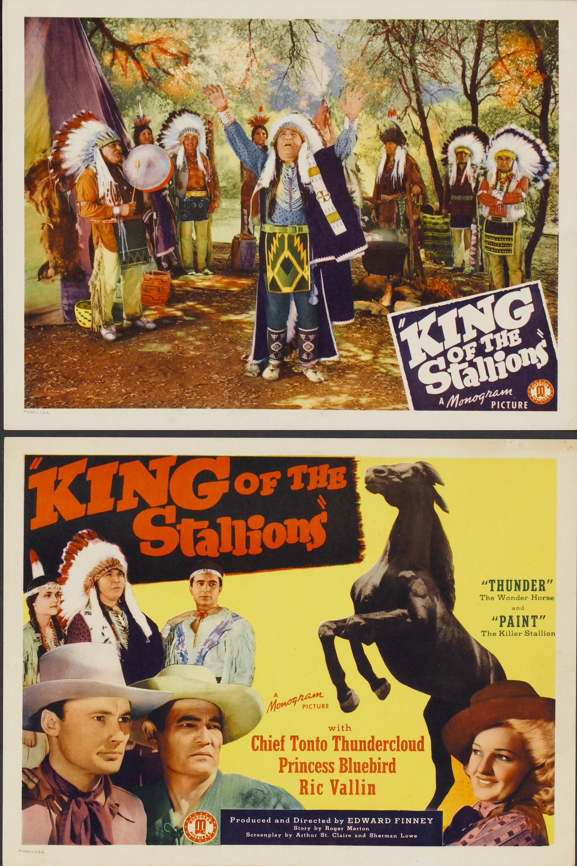 King of the Stallions (1942)