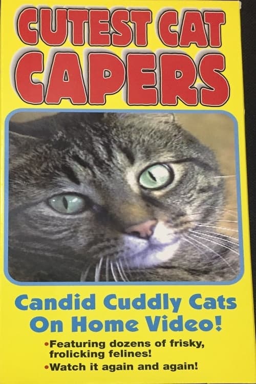 Cutest Cat Capers