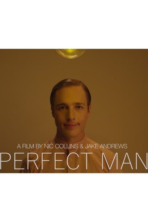Perfect Man