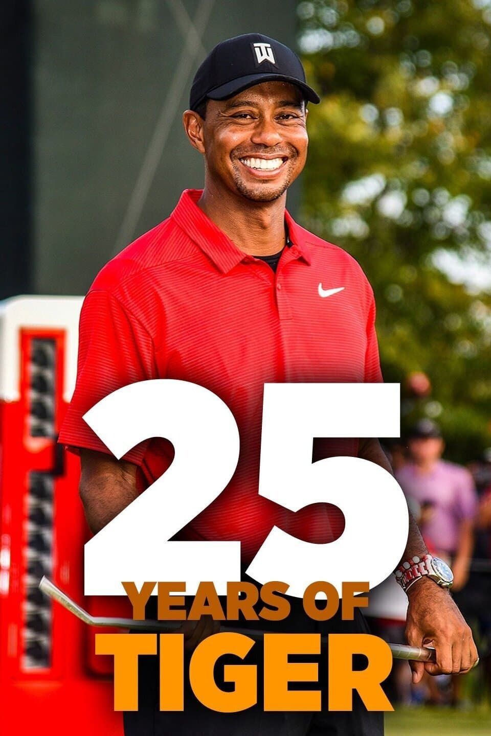 25 Years of Tiger
