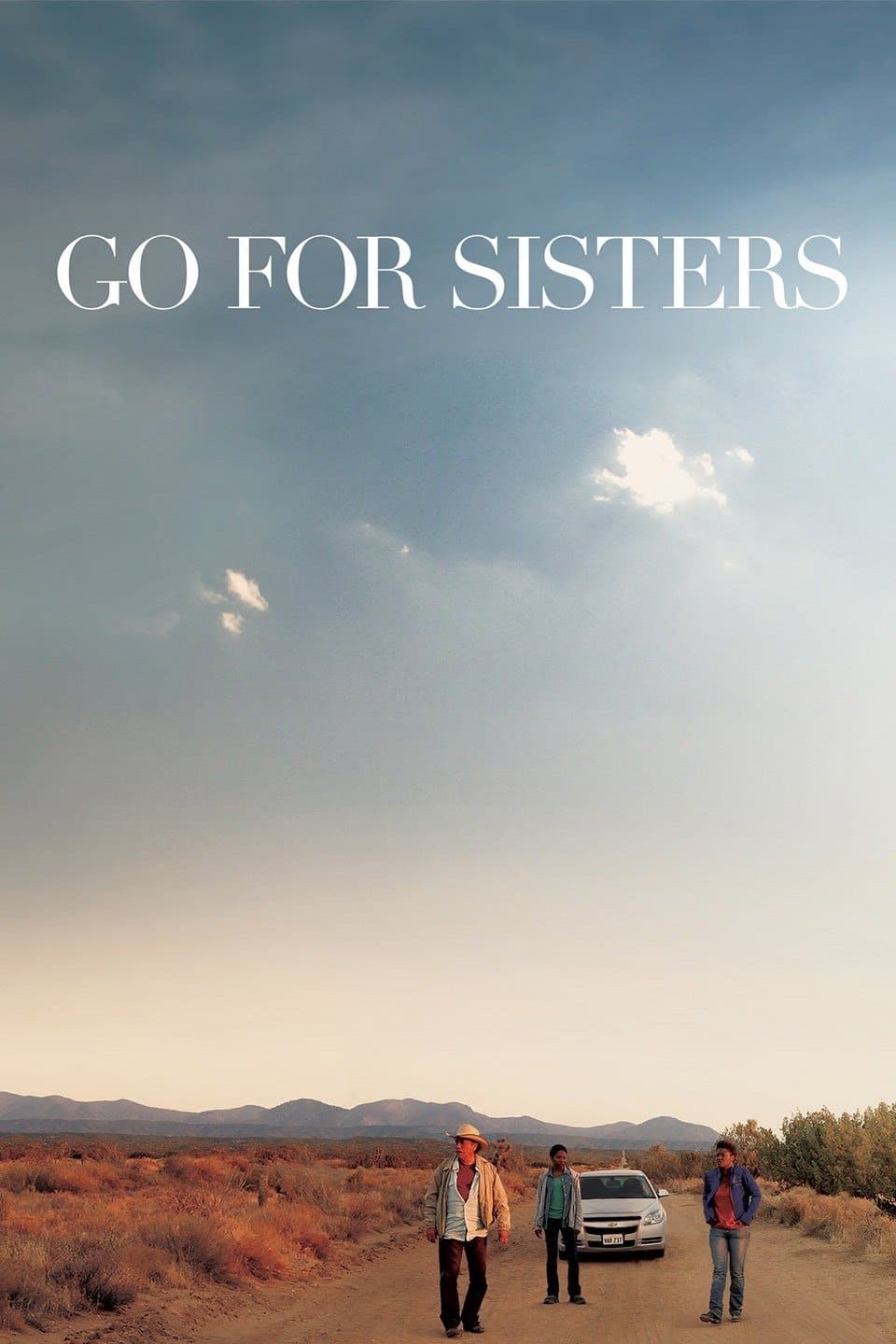 Go for Sisters (2013)