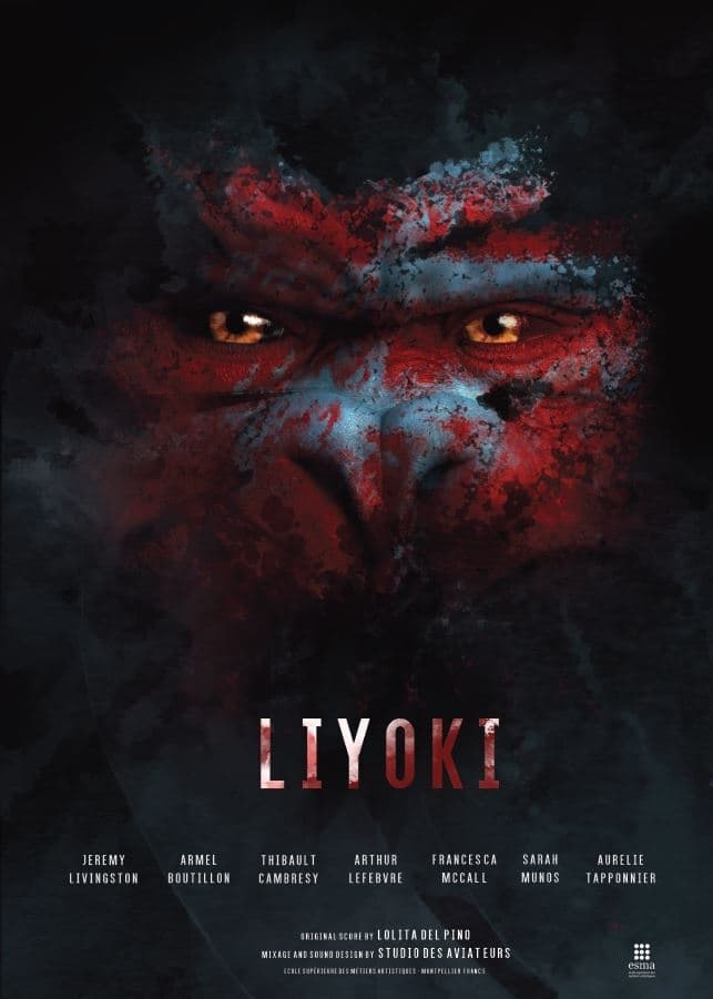Liyoki