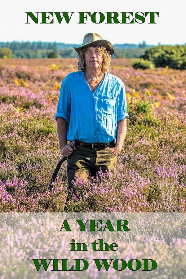 New Forest: A Year in the Wild Wood