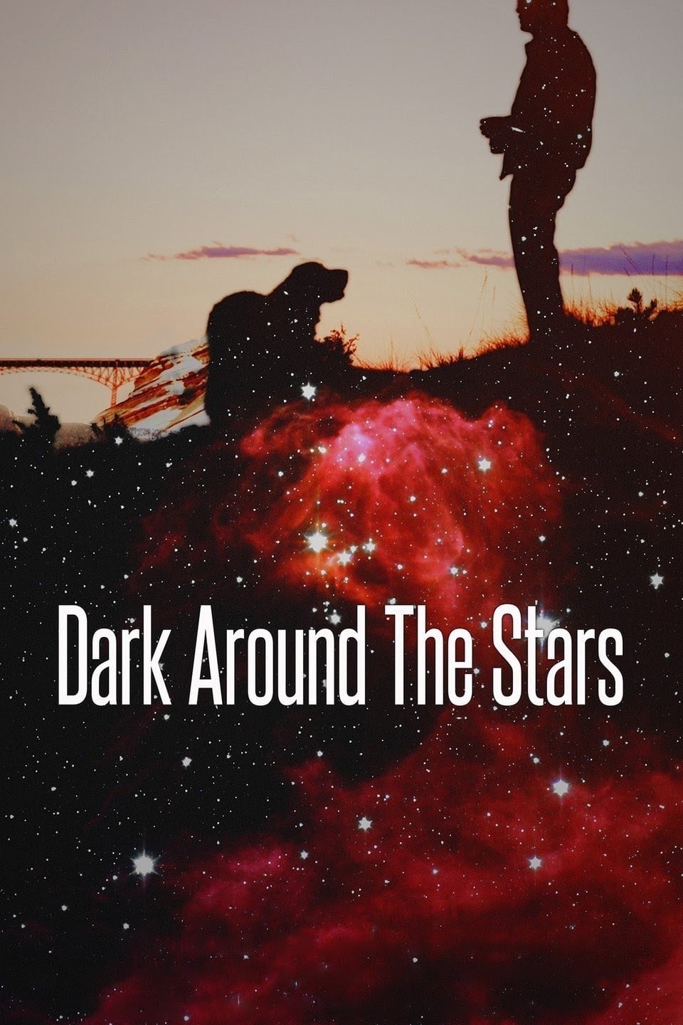Dark Around the Stars (2013)