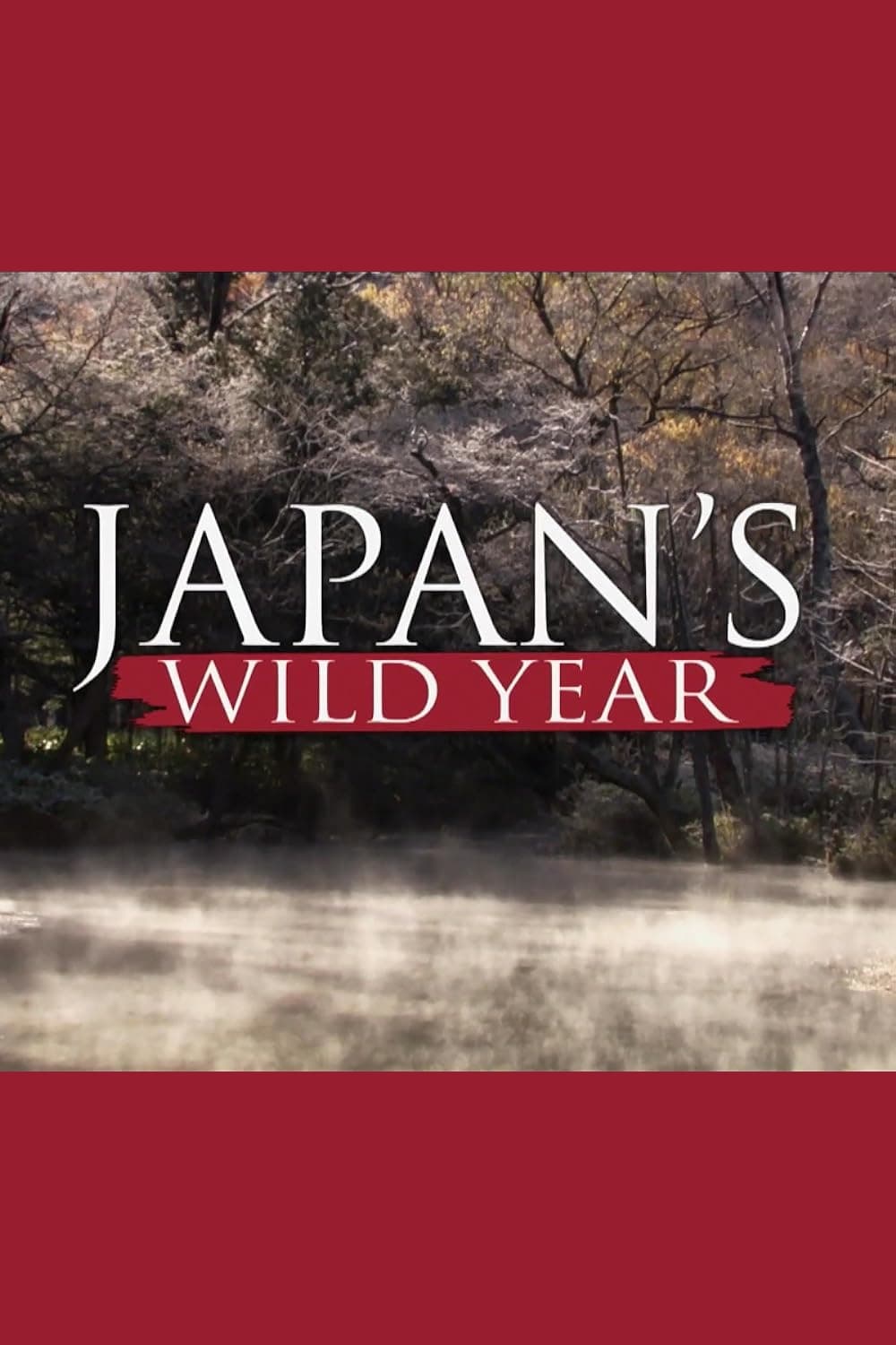 Japan's Wild Year