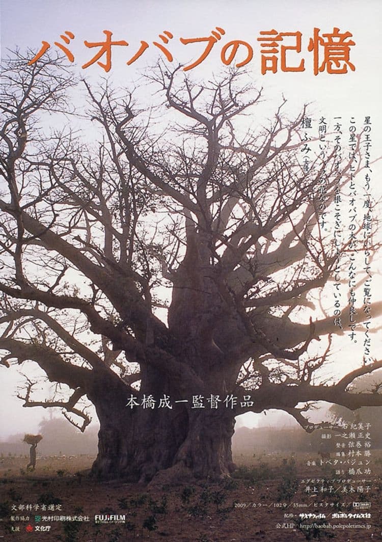 A Thousand Year Song of Baobab