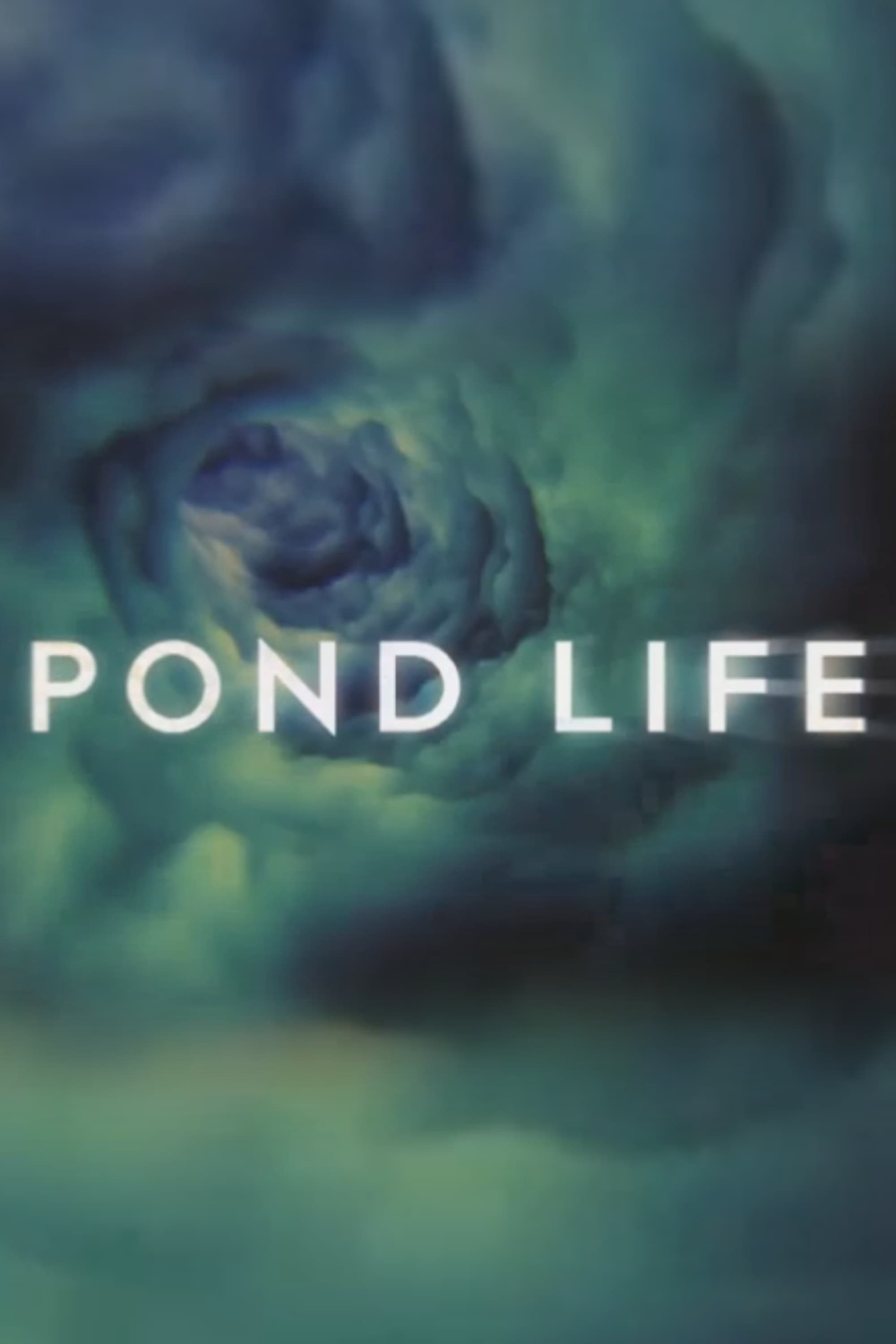 Pond Life (2012)