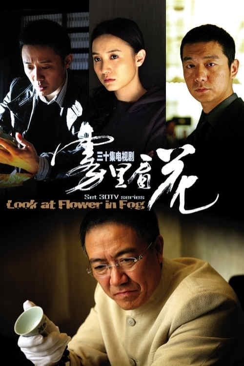 雾里看花 (2009)