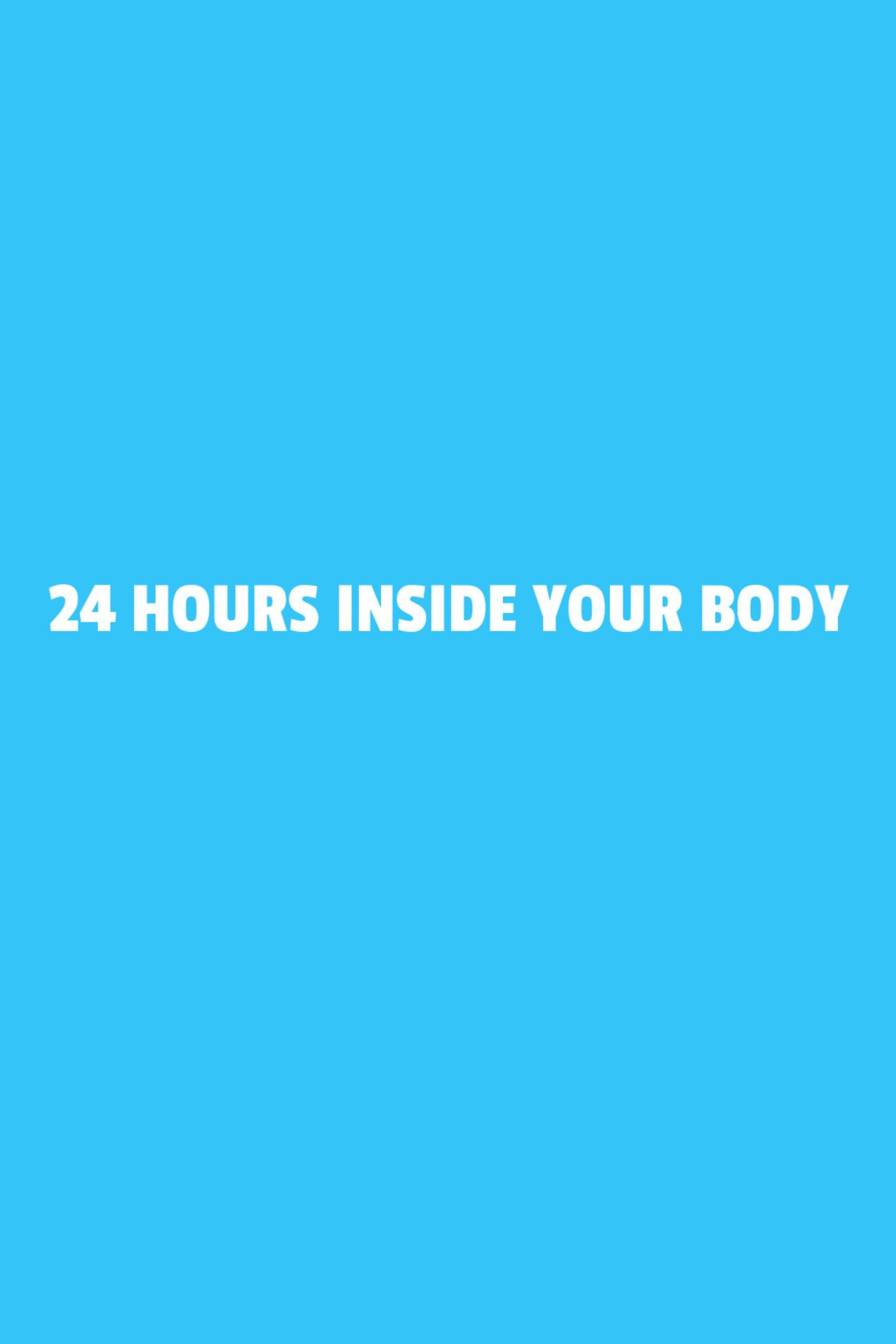 24 Hours Inside Your Body