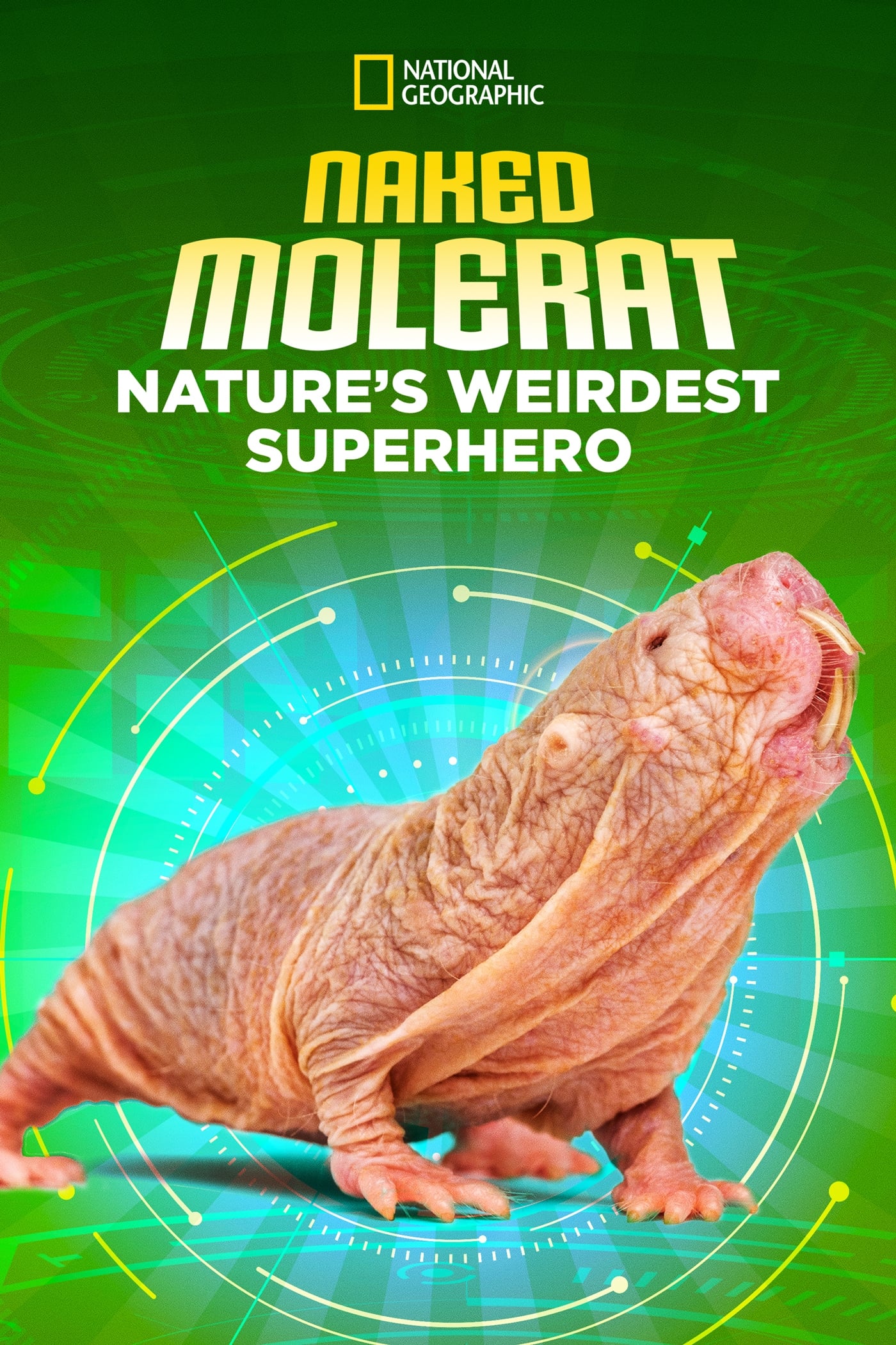 Naked Molerat: Nature’s Weirdest Superhero