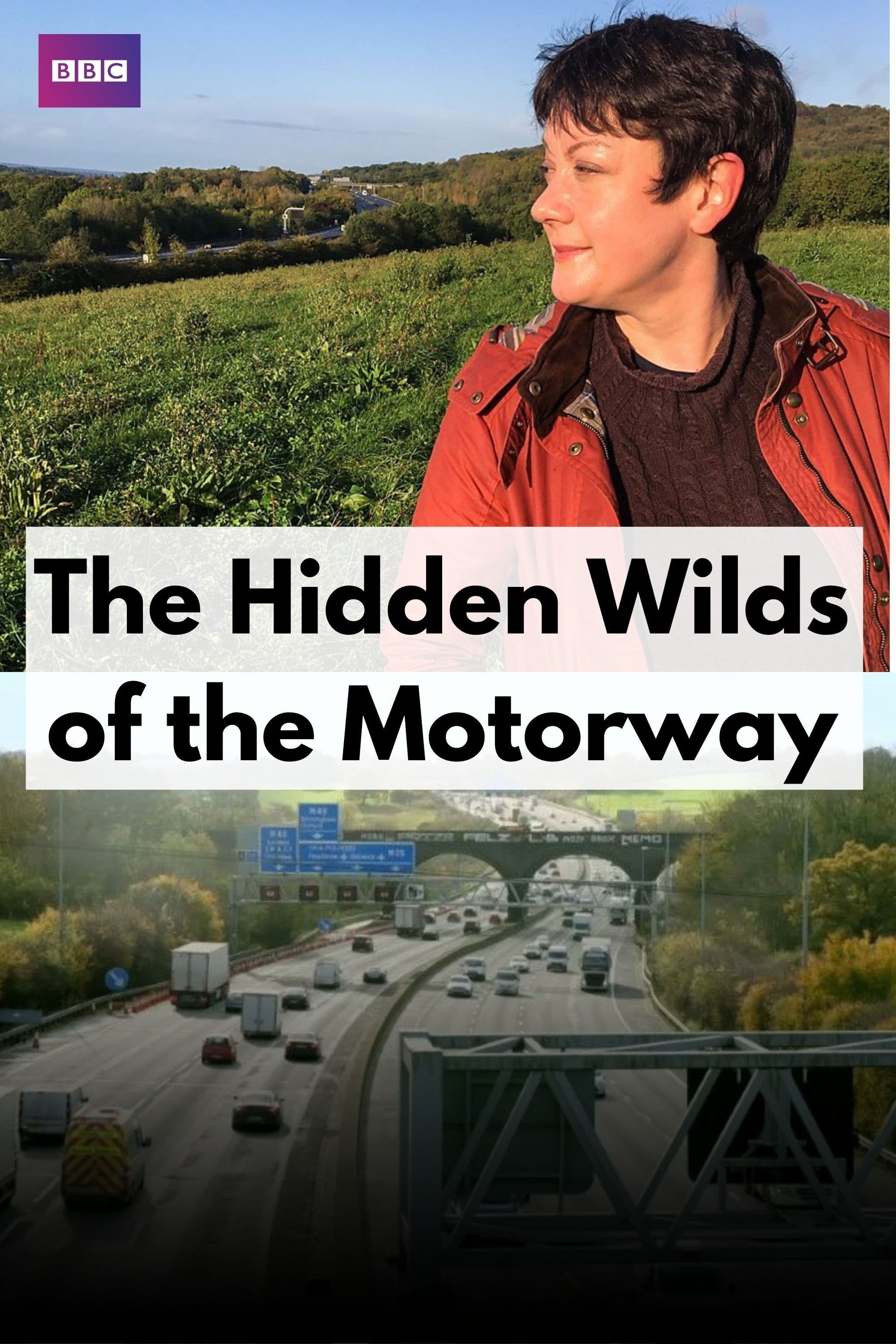 The Hidden Wilds of the Motorway