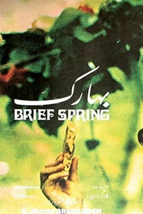 Brief Spring