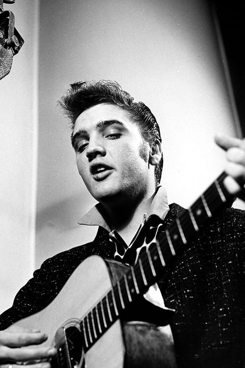 Elvis Rise And Fall Of The King