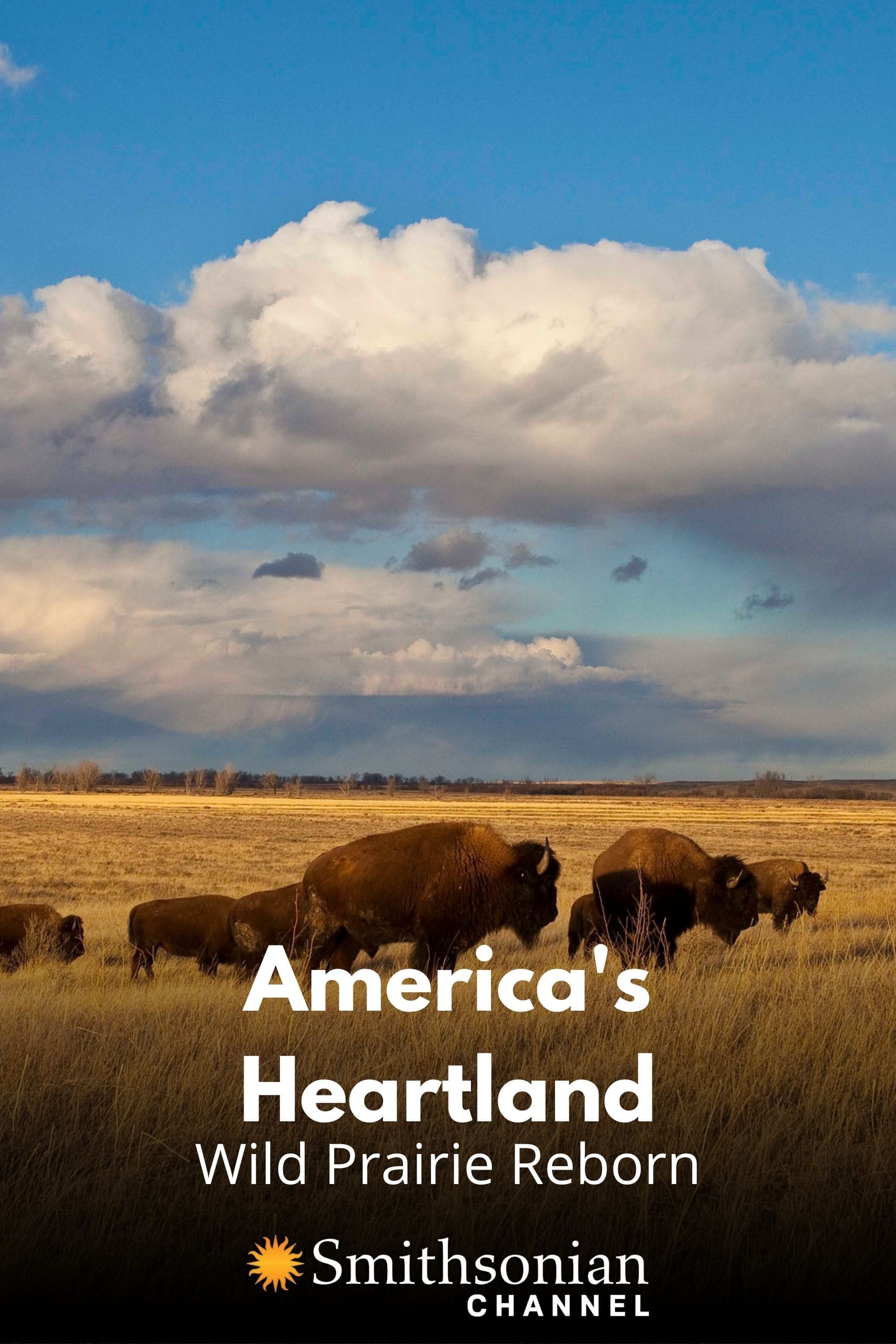 America's Heartland: Wild Prairie Reborn