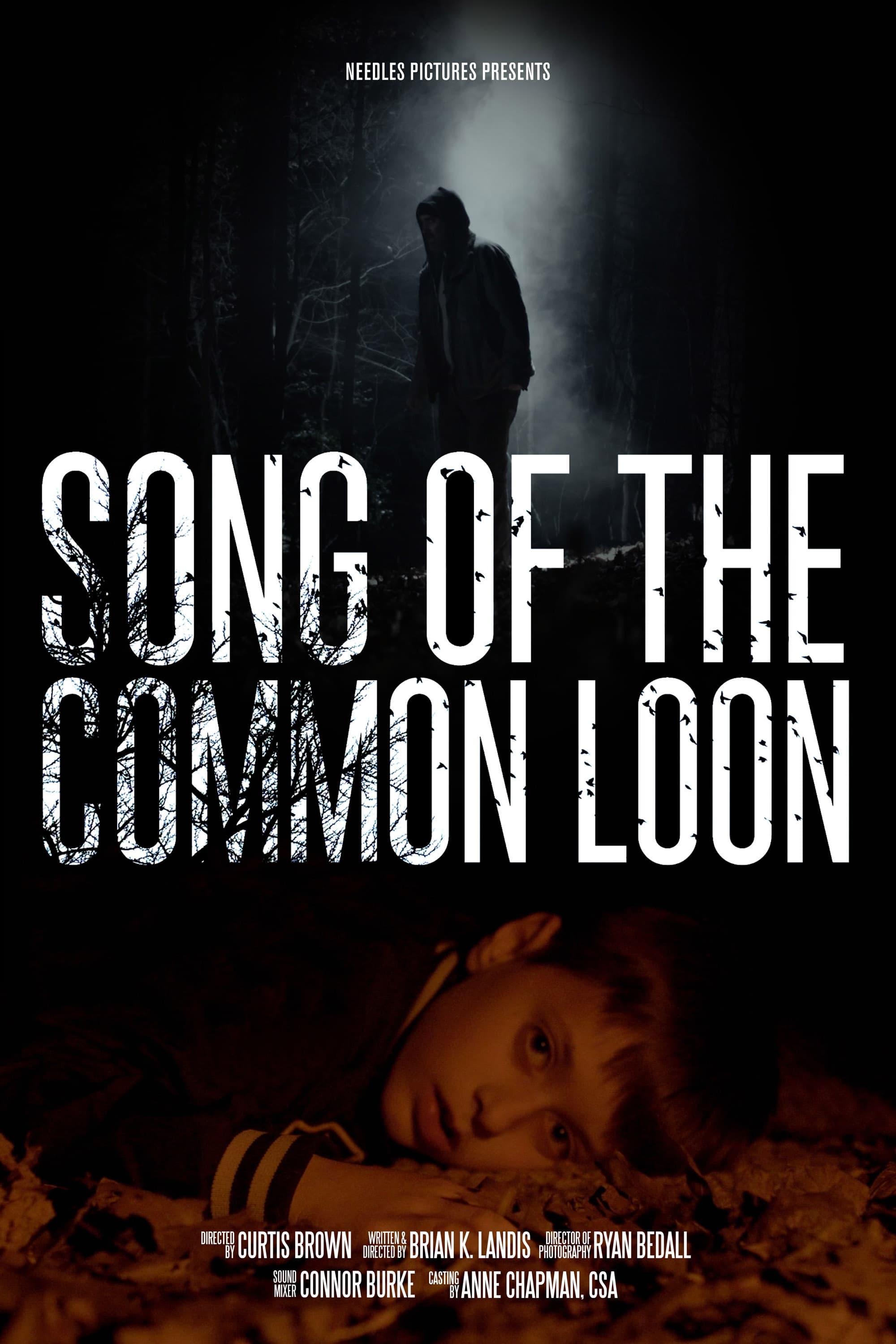 Song of the Common Loon