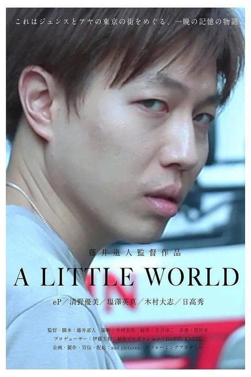 A LITTLE WORLD (2011)