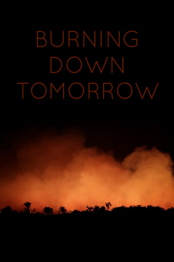 Burning Down Tomorrow