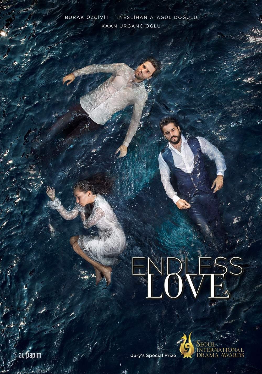 Endless Love (2015)