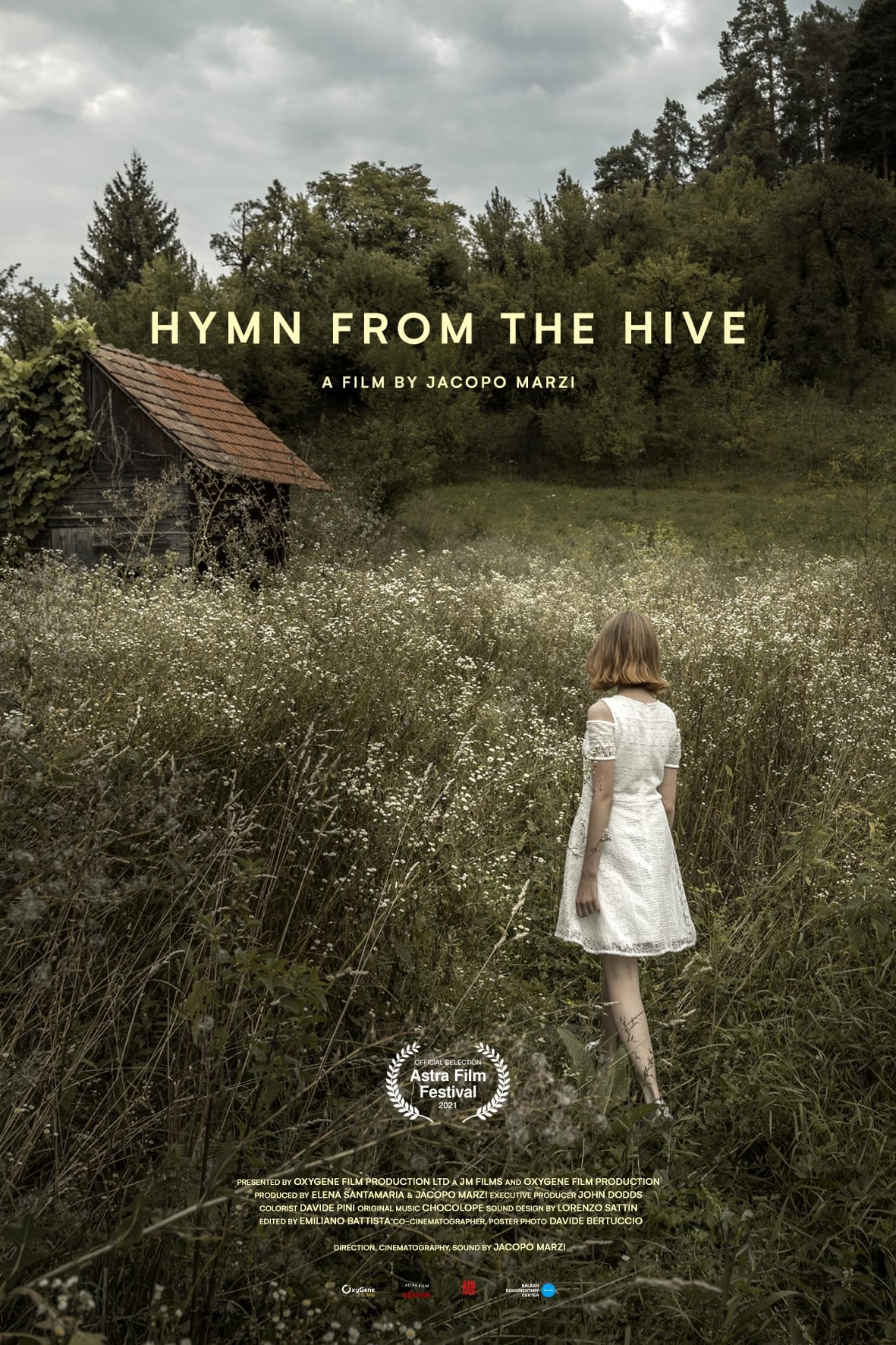 Hymn from the Hive
