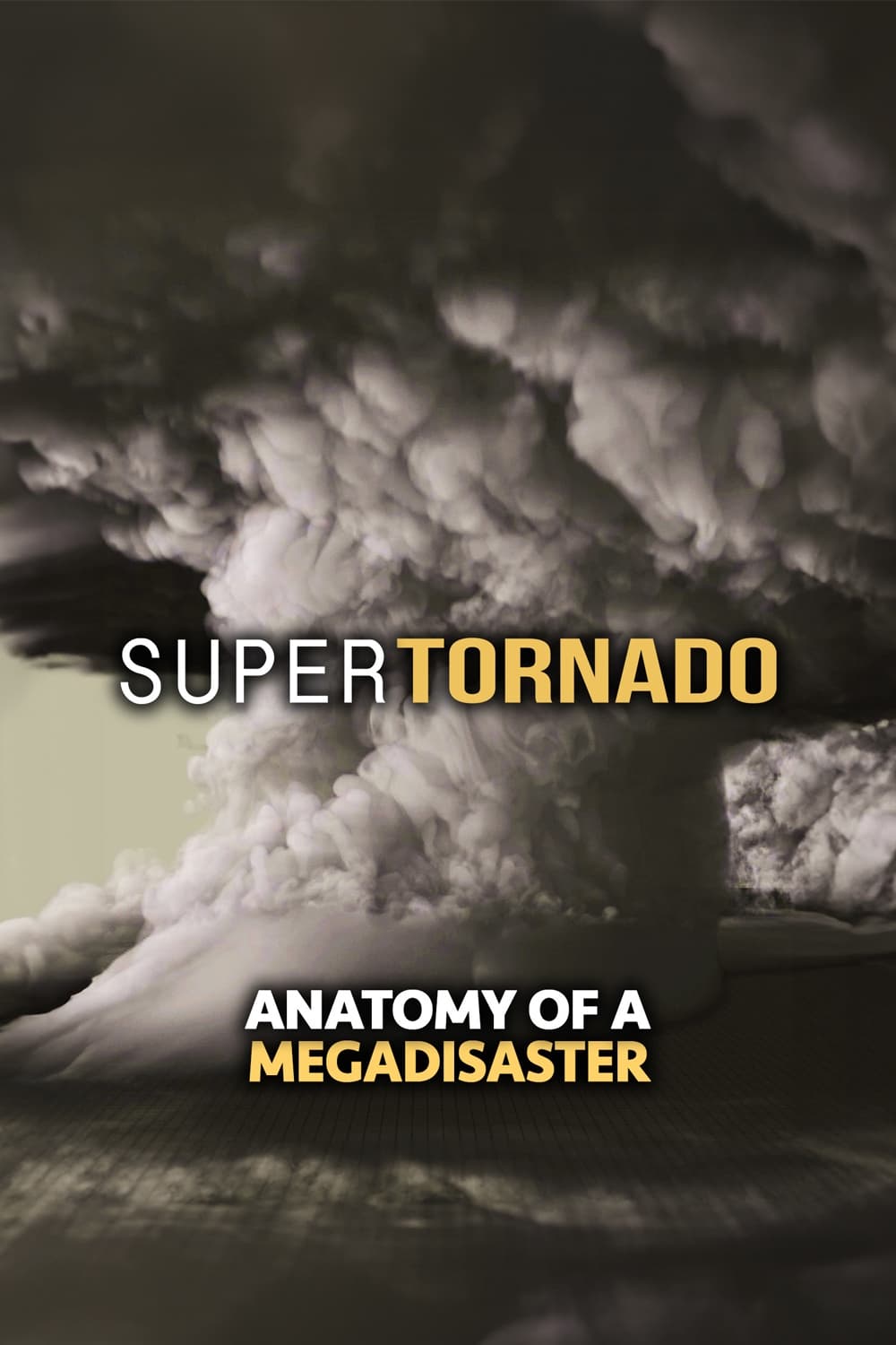 SuperTornado: Anatomy of a MegaDisaster