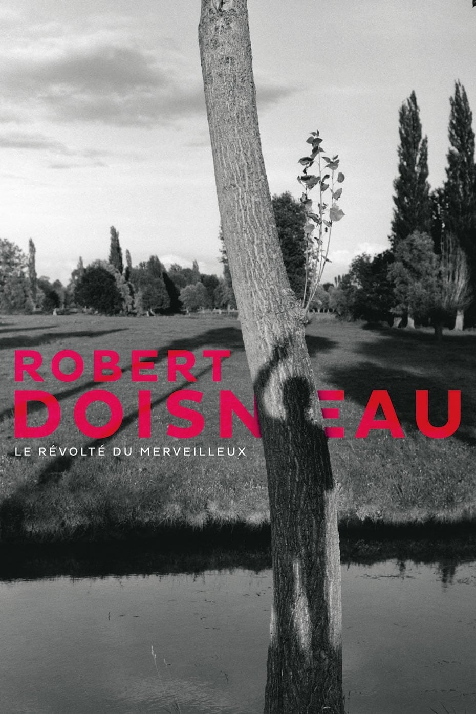 Robert Doisneau: Through the Lens