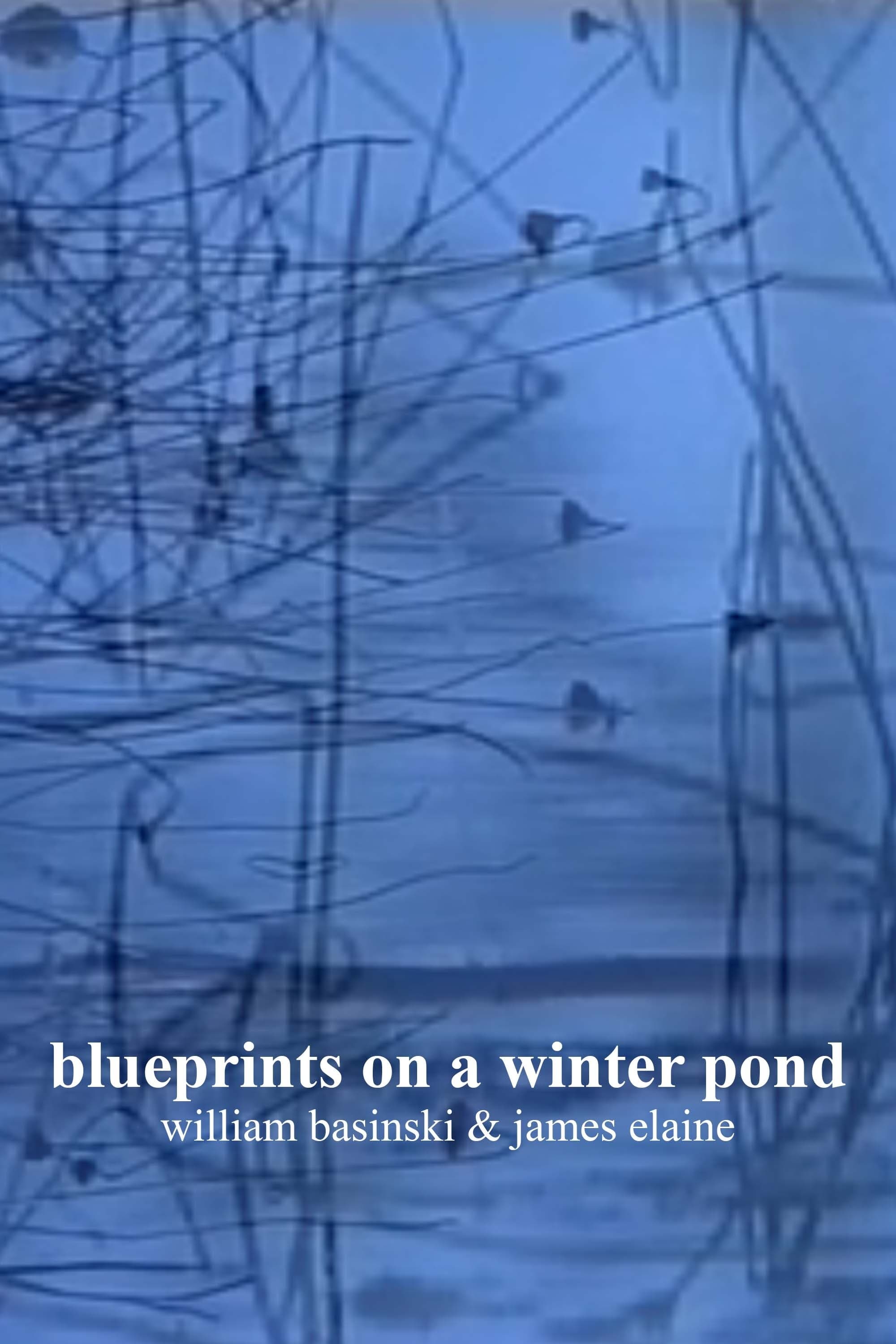 blueprints on a winter pond