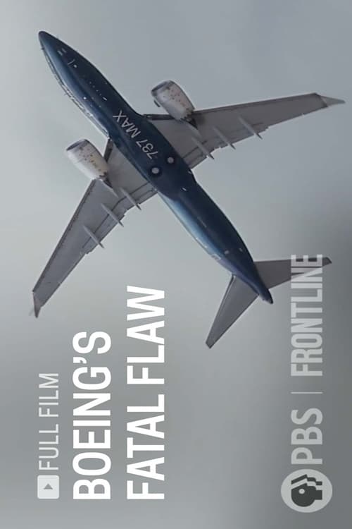 Boeing's Fatal Flaw (2021)