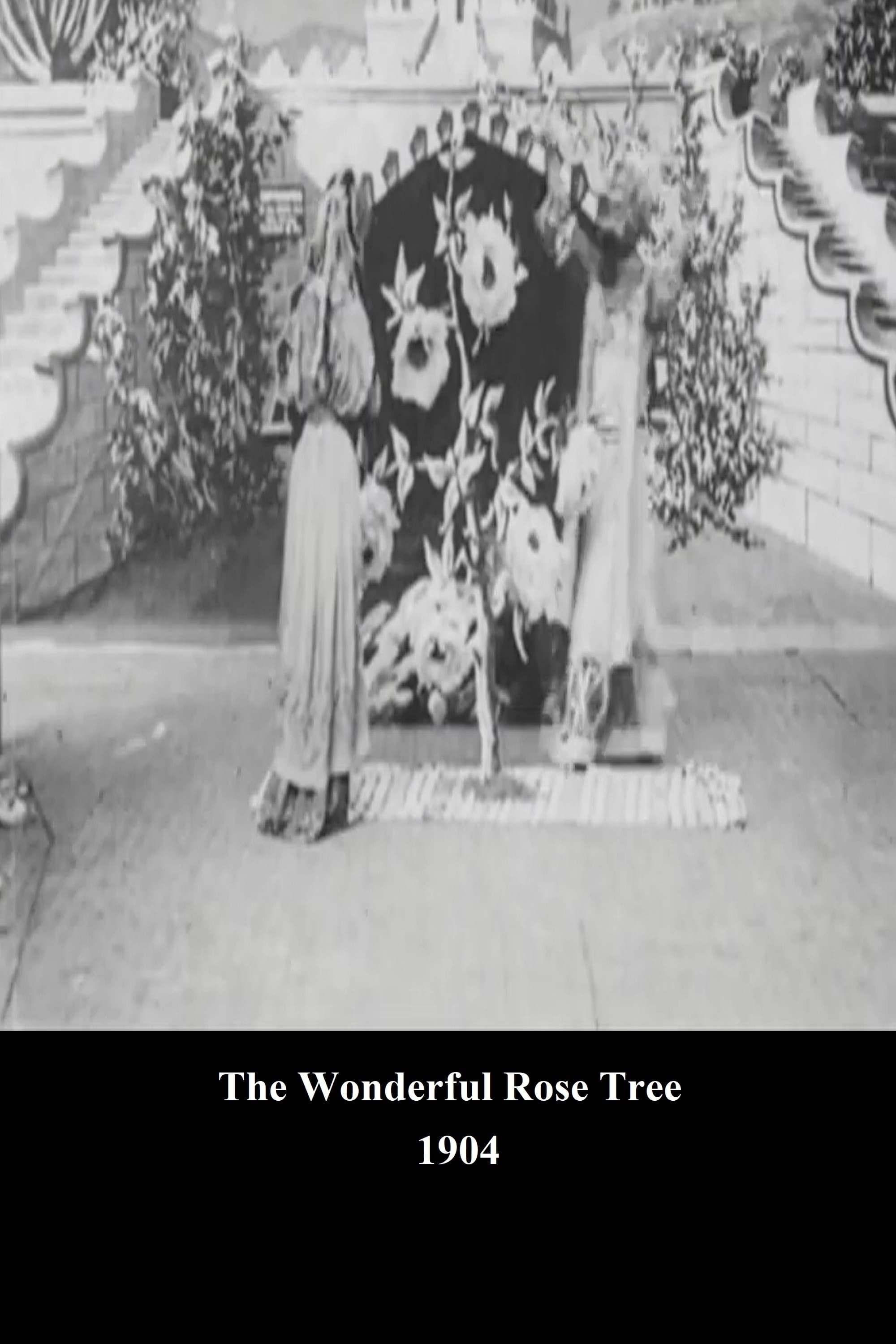 The Wonderful Rose Tree