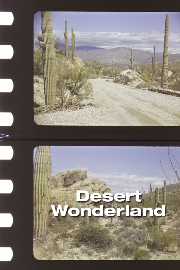 Desert Wonderland