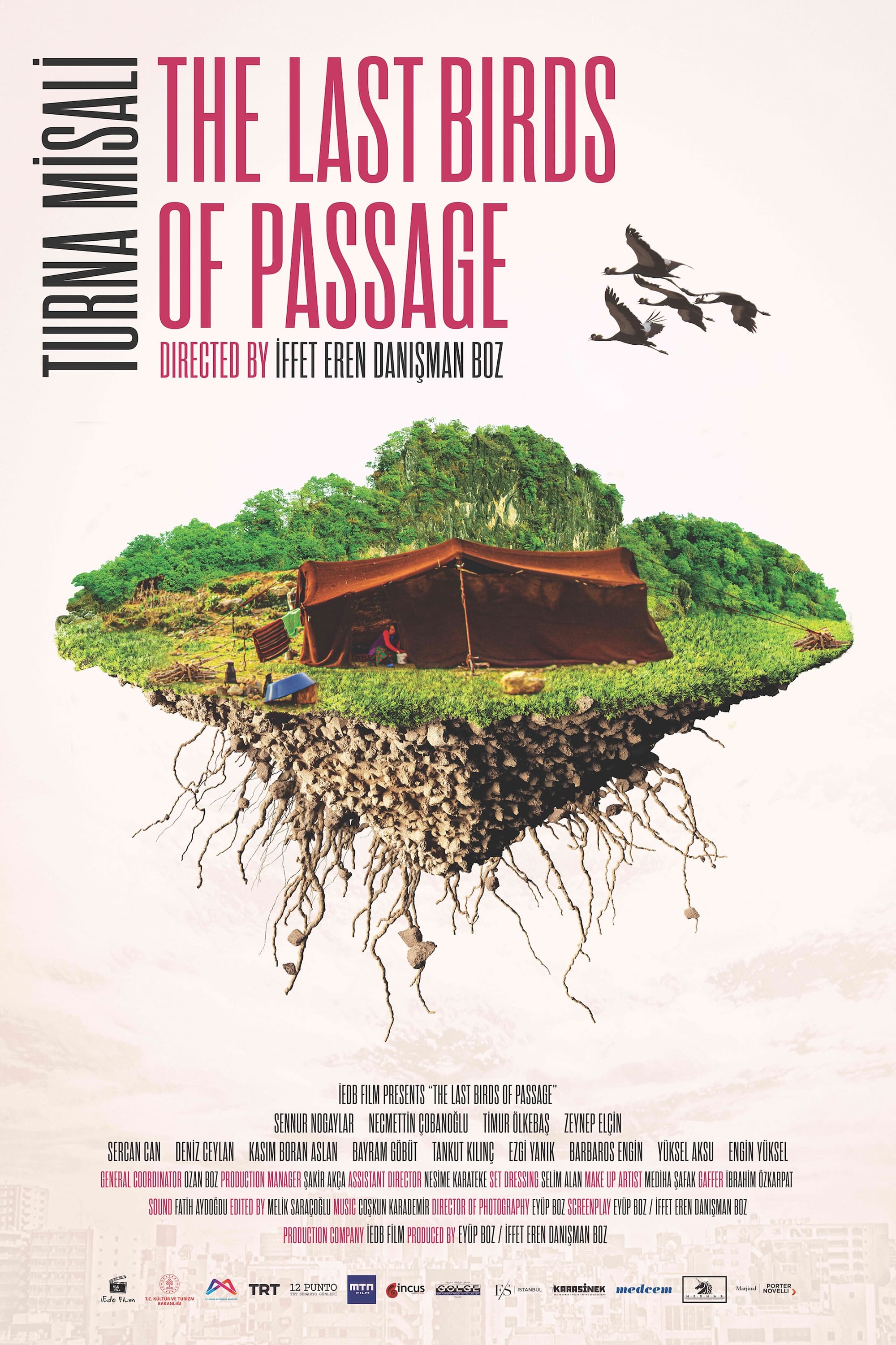 The Last Birds of Passage