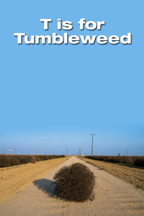 T Is for Tumbleweed