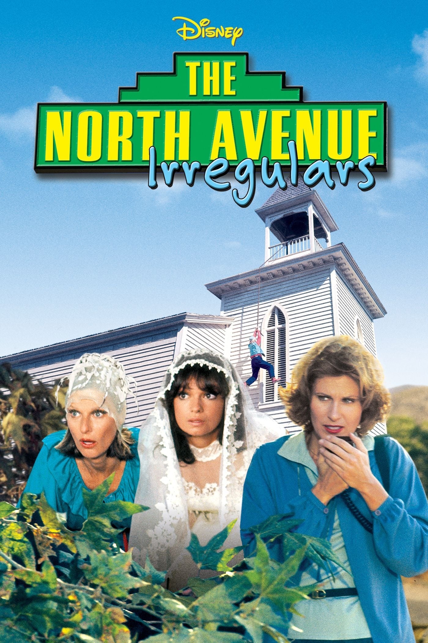 The North Avenue Irregulars (1979)