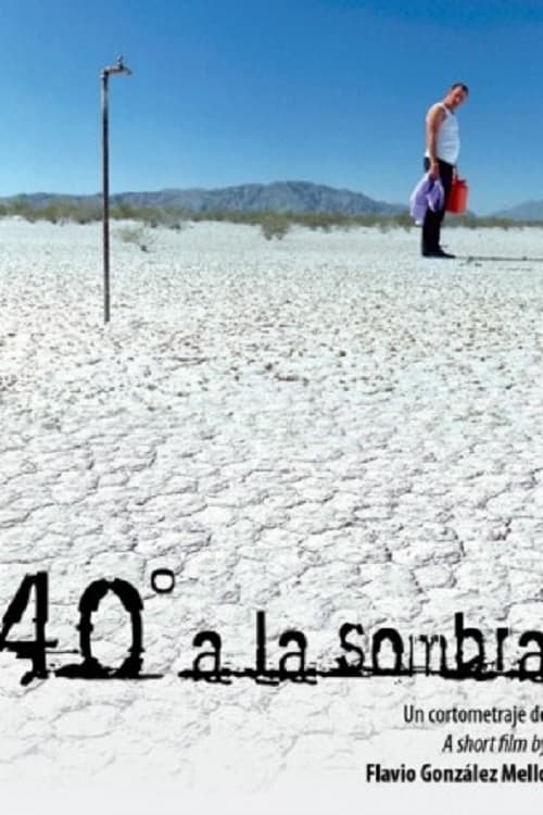40° a la sombra (2008)