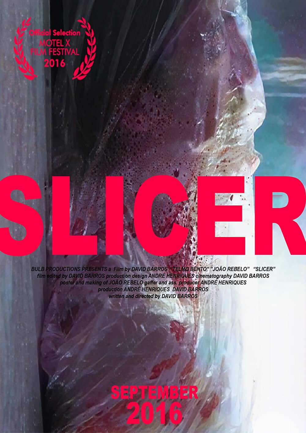 Slicer